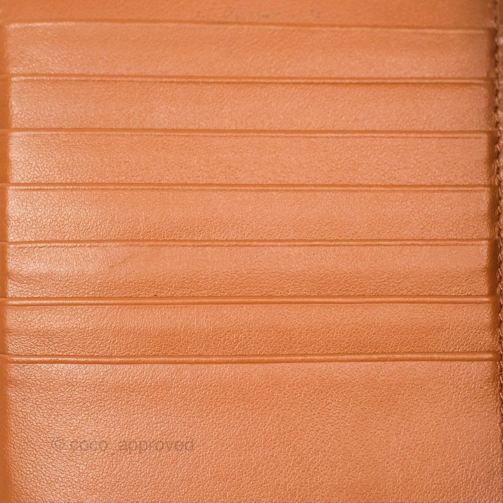 Celine Medium Strap Wallet In Triomphe Canvas Tan Lambskin